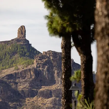 Casa Maria With Roque Nublo View *